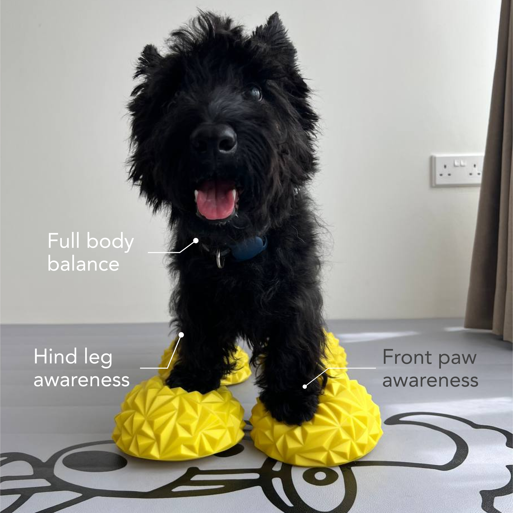 BALANCEPODZ Paw Pods x4