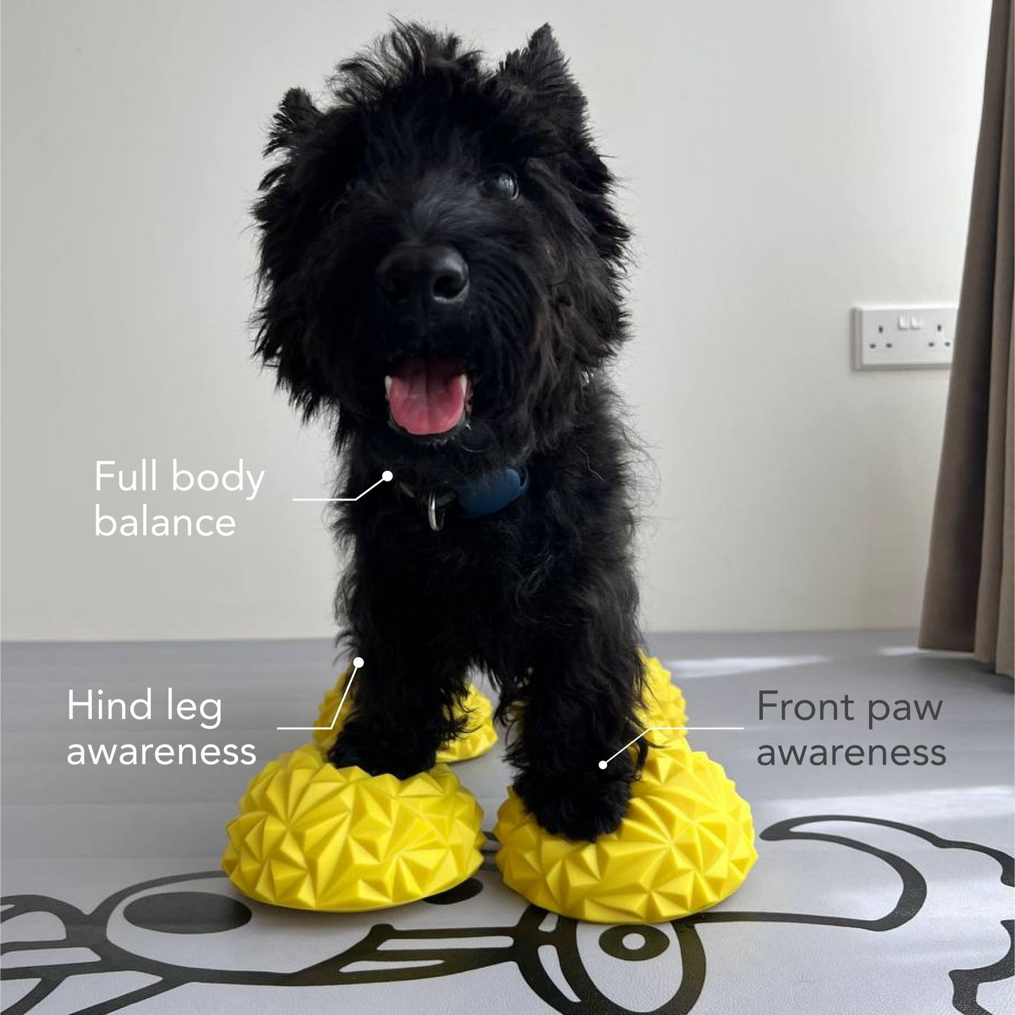 BALANCEPODZ Paw Pods x4