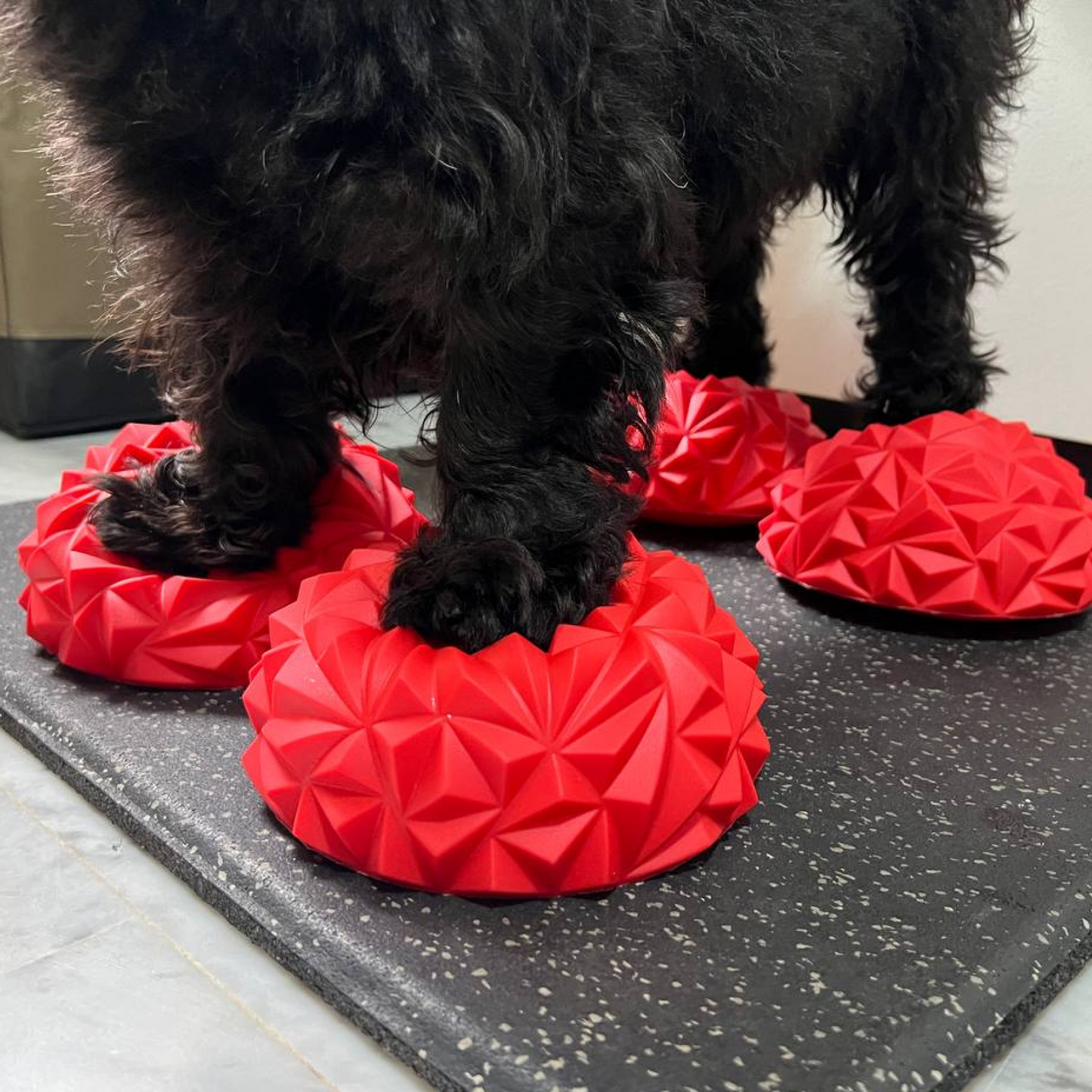 BALANCEPODZ Paw Pods x4