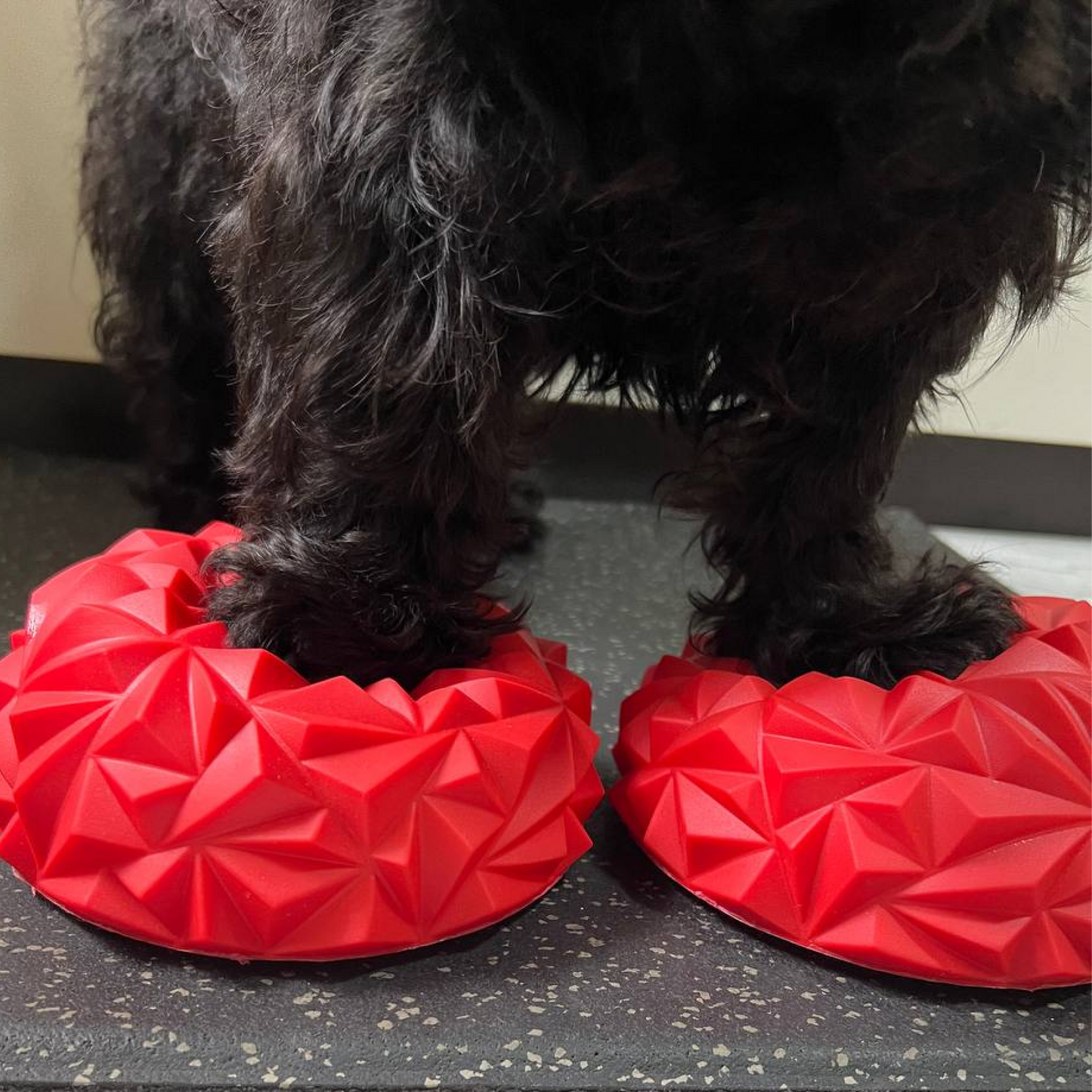 BALANCEPODZ Paw Pods x4