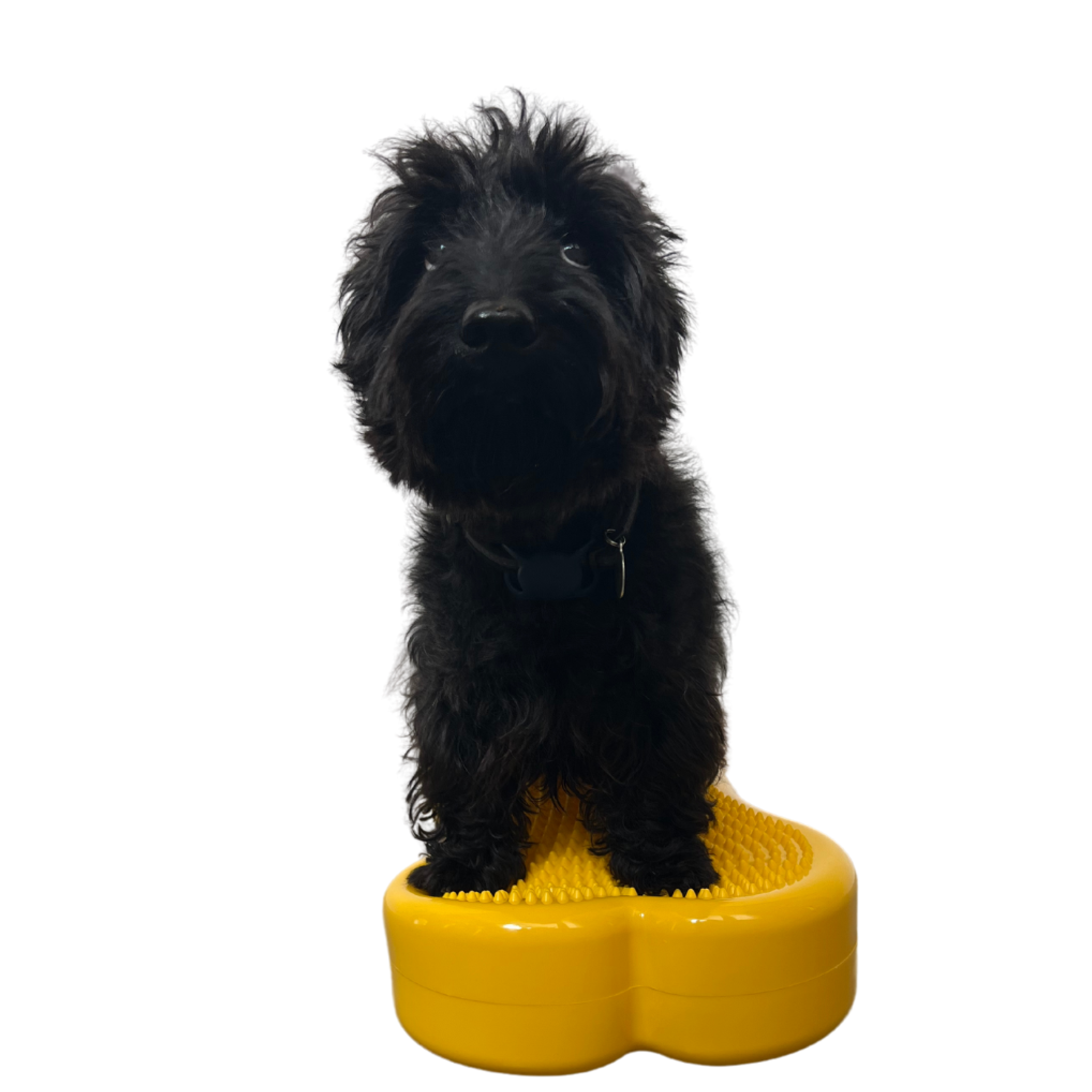 BALANCEBONE Inflatable (Regular)