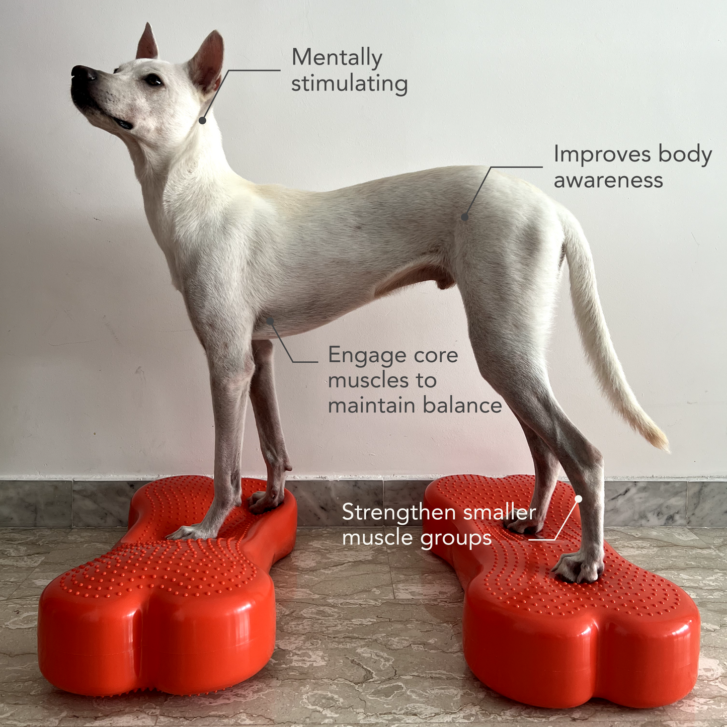 BALANCEBONE Inflatable (Regular)