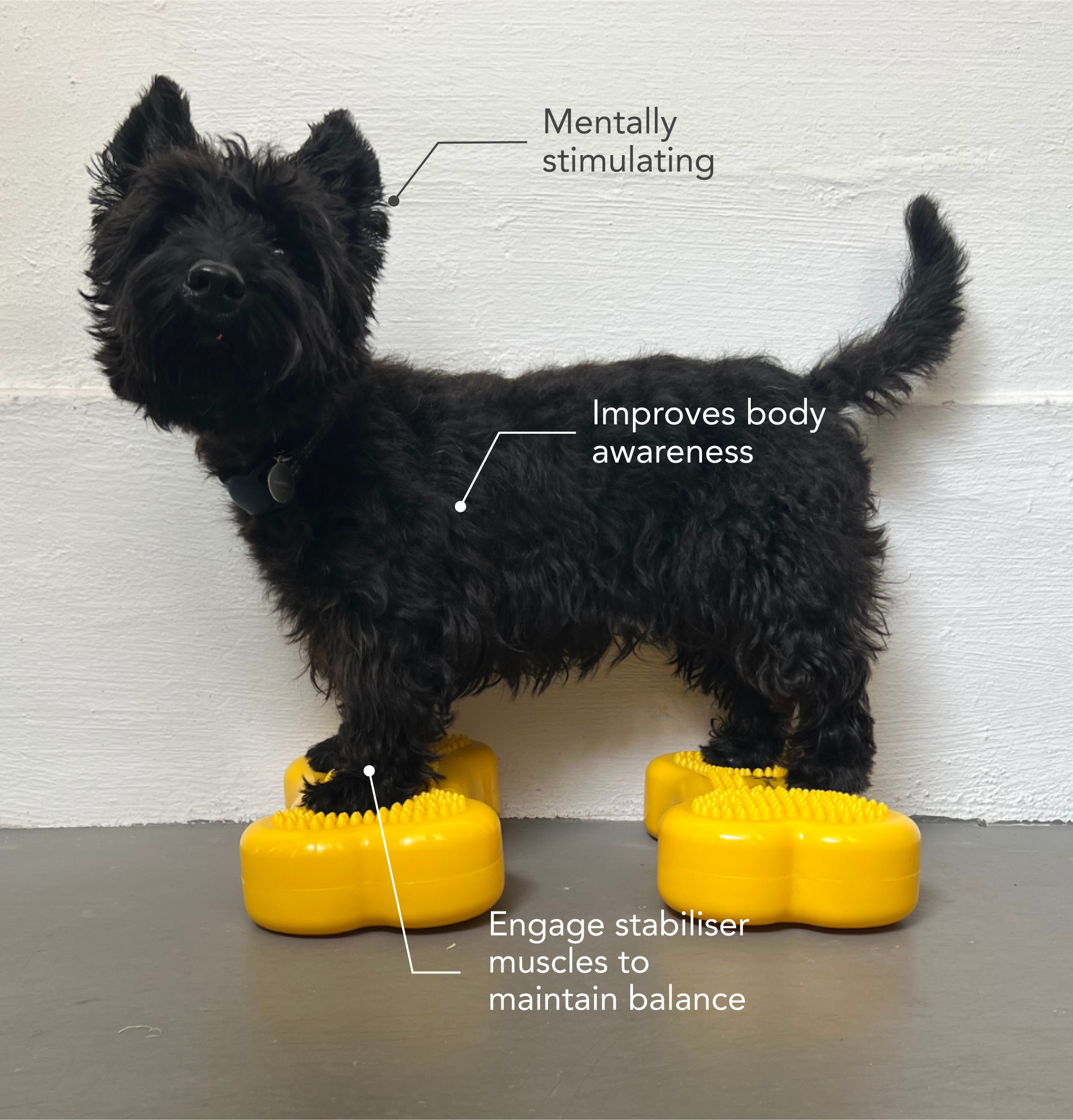 BALANCEBONE Inflatable (Mini)