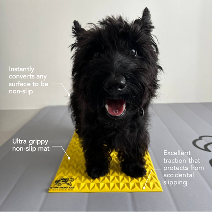 PAWGRIPZ PRO Non-Slip Mat