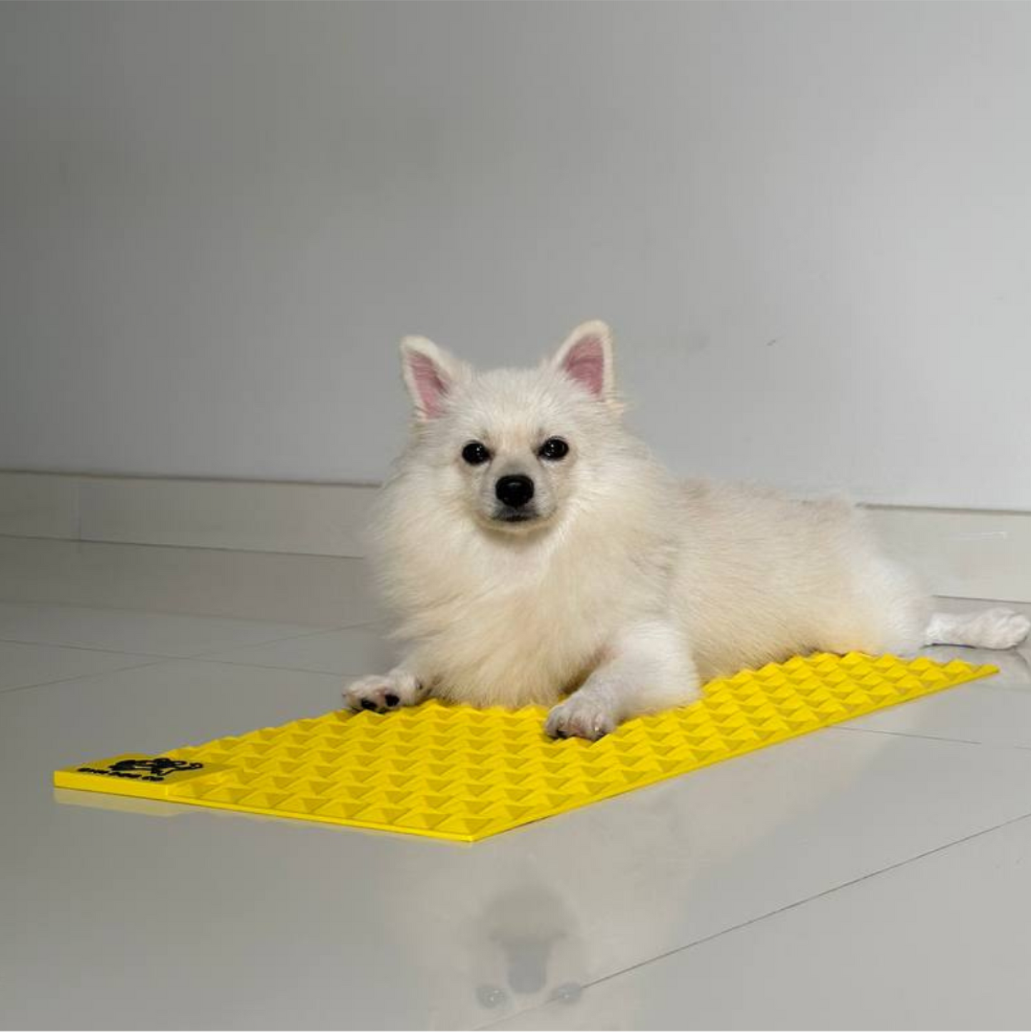 PAWGRIPZ PRO Non-Slip Mat